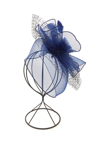 Felicia fascinator