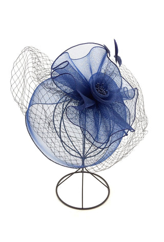 Felicia fascinator