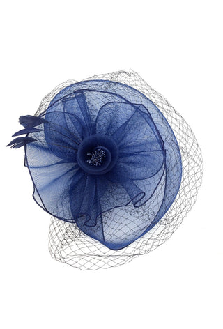 Felicia fascinator